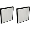 Nispira Replacement HEPA Filter Compatible with Surround Air Intelli-Pro XJ-3800 Air Purifier, 2 Filters