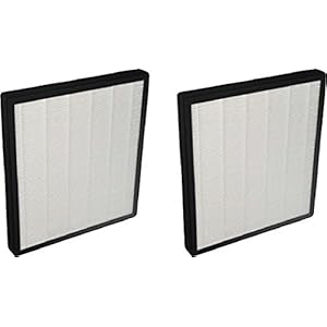 Nispira Replacement HEPA Filter Compatible with Surround Air Intelli-Pro XJ-3800 Air Purifier, 2 Filters