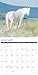 Wild Horses 2026 Wall Calendar
