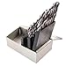 F&D Tool Company 25255 13 Piece High-Speed Steel General Purpose Jobber Length Drill Bit Assortment, Black Oxide Finish, Round Shank, Spiral Flute, 118 Degree Conventional Point, 1/16" to 1/4" Size in 1/64" Increments
