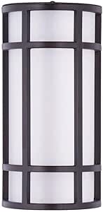 Maxim Moon Ray-Outdoor Wall Lantern Stainless Steel/Opal Acrylic-6 Inches Wide by 12 inches high