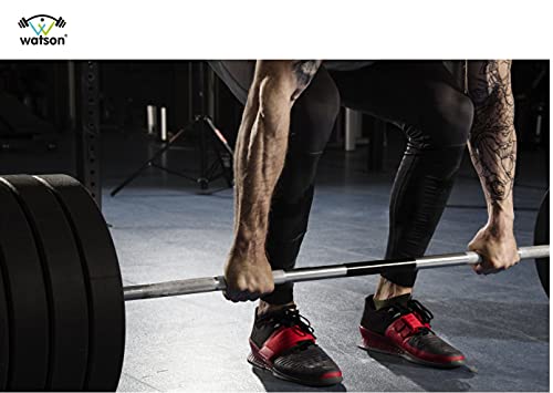 Image of WATSON Dumbbell Plates, 10Kg(5Kgx2) 28mm Bumper Weight Plates With 2 Inch Metal Insert, Strength Training Barbell Weights for Home Gym Workouts