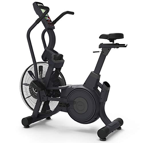 bicicleta aire crossfit