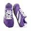 Lavender Purple