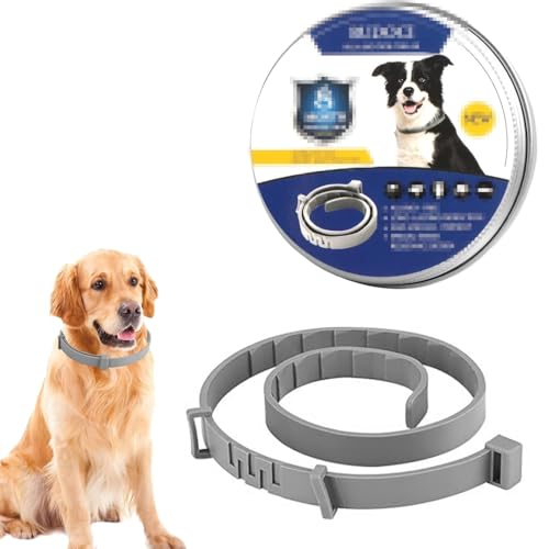 Collare Antiparassitario Per Cani, Collare Antipulci e Zecche Regolabile Impermeabile, Efficacia 8 Mesi 63cm Collari Antizecche Per Cani Di Tutte Le Taglie (63cm)