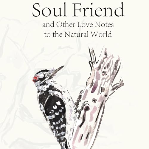 Couverture de Soul Friend