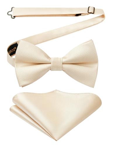 HISDERN Nœuds Papillon Homme Champagne et Mouchoir avec Crochet déjà Lié Réglable Color Sólido Nœuds Papillon et Carré de Poche Ensemble