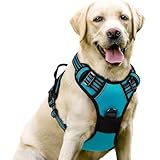 Hund Anti-Zieh-Geschirr, Hund Geschirr Für Kleine, Mittelgroße Und Große Hunde Anti Zug Geschirr, Harness Weich Gepolstert Verstellbar Atmungsaktiv (Pfauenblau, S)