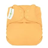 bumGenius Freetime All-in-One One-Size Snap Closure Cloth Diaper (Clementine)