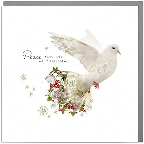 Lola Design - Warm Wishes - Wildlife Christmas Cards - Blank Cards and Envelopes - Penguin Chick