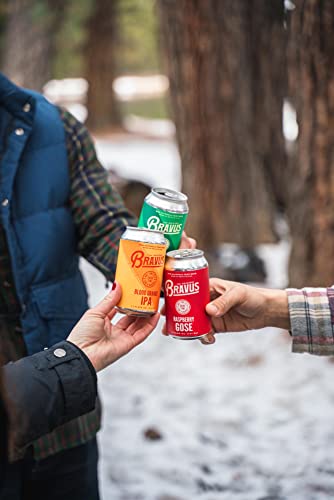 Bravus Non-Alcoholic Craft Beer - Variety Sampler 6-Pack - Delicious Low-Calorie, Vegan, Gluten Reduced Na Craft Brews #TOP3