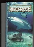 A Guide to Sharks & Rays