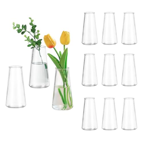 Glasseam Kleine Vase Glas für Hochzeit: 12 Stück Vasen Klein...