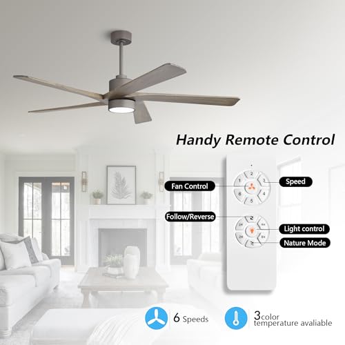Image of WINGBO 64 Inch DC Ceiling Fan with Lights and Remote Control, 5 Reversible Carved Wood Blades, 6-Speed Noiseless DC Motor, Modern Ceiling Fan in Graphite Finish with Gray Blades, ETL Listed
