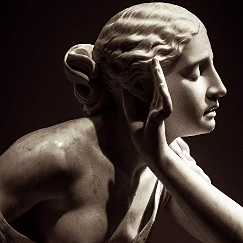  The Statue