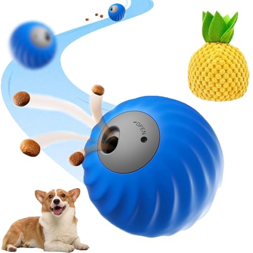 Zoomie 2.0 Buddy