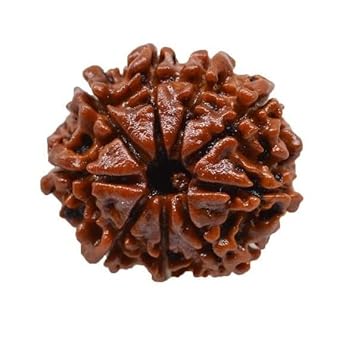 Venus Gems Gallery Real 9 Mukhi Rudraksha Original Certified by IGL Nine Face Rudraksha Nau Mukhi Rudraksha with Silver Capping Nine Mukhi Rudraksha Nepali Pure Bead 9 Face Rudraksha for Men & Women