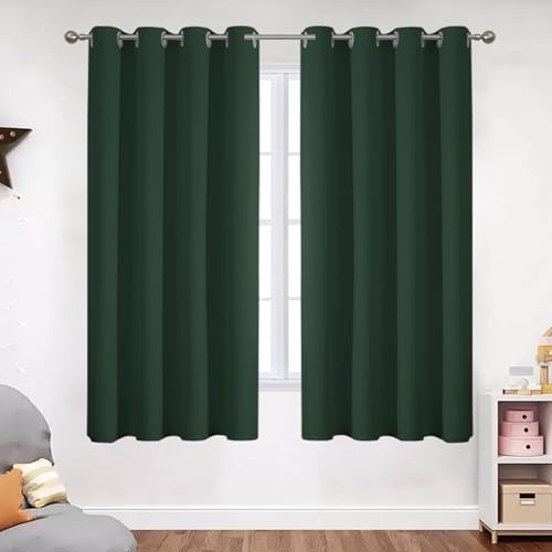 VEHEDE Blackout Curtains 54 Inch Drop Eyelet Thermal Insulated Short Curtain for Bedroom Soft Small Living Room Window Curtains & Drapes W46 x L54 Inch Blackish Green 2 Panels