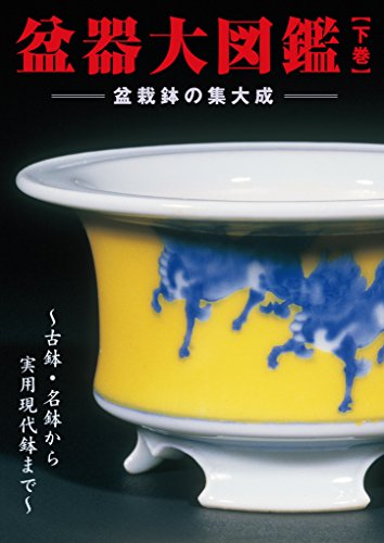 bonkidaidukangekan: bonsaibatinoshutaisei (kbmukku) (Japanese Edition)