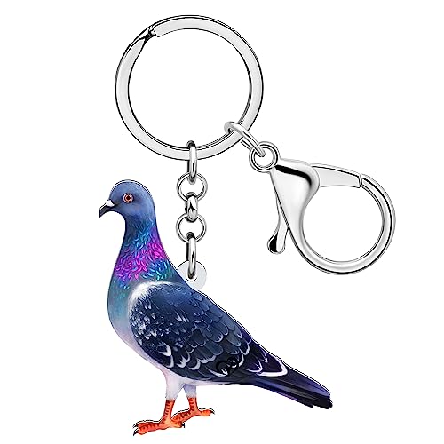 DUOWEI Chaveiro bonito de pombas de acrílico, porta-chaves de pássaros, bolsa de mão, decoração para mulheres, adolescentes, meninas, presentes, Pombo C