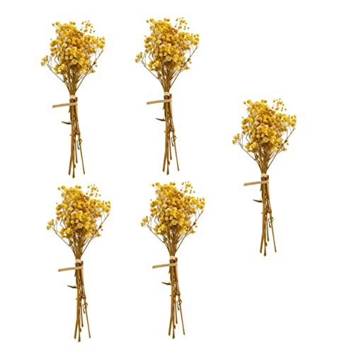 Ramo seco DIY Gypsophila 5 pcs para decoración miniatura 1
