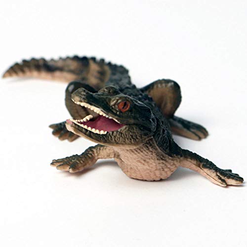 Ornements crocodile modèle animal sauvage KELIEQA statue décorative pour intérieur moderne