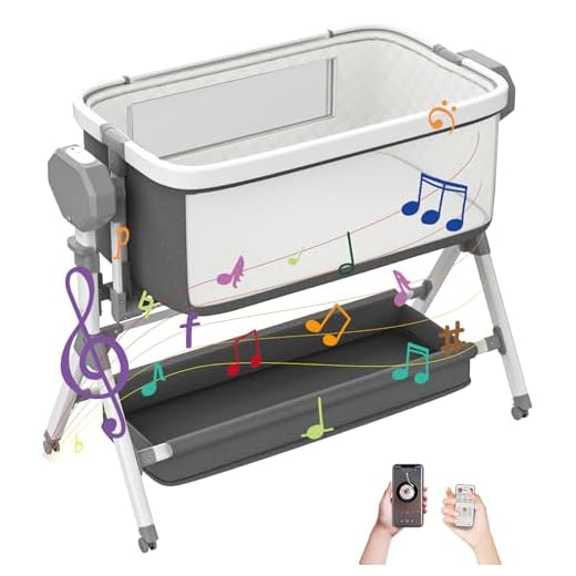 41PPBCCIeTL._SS520_ Best swinging bassinets