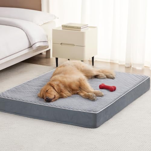LEXTRO Giant Waterproof Orthopedic Dog Bed for Large Size Dogs, 55x42 Oversized Dog Bed Washable with Removable Washable Cover, Big Comfortable Dogs Mat, Gray