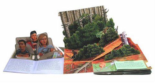 The Girl Who Loved Tom Gordon: A Pop-up Book