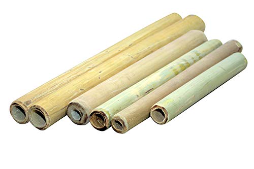 lifestyle Massage Products Hollow- Therapy Natural Hand Made Bamboo Sticks -6 Piece Set (Lifestyle-.6) lifestyle Massage Products Hollow- Therapy Natural Hand Made Bamboo Sticks -6 Piece Set (Lifestyle-.6)