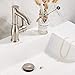 REGALMIX Bathroom Sink Drain, Vessel Sink Pop Up Drain,Built-in Anti-Clogging Strainer, Sink Drain Assembly Without Overflow Brushed Nickel,(1-1/2