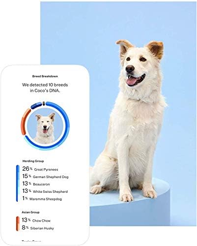 wisdom panel test