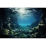 Riivvdise Aquarium Backdrop Underwater Coral Reef with Fishes Sun Rays Terrarium Background Under Water Rocks with Moss Fish Tank Backdrop Aquarium Wallpaper Poster Decor Vinyl 72x18in