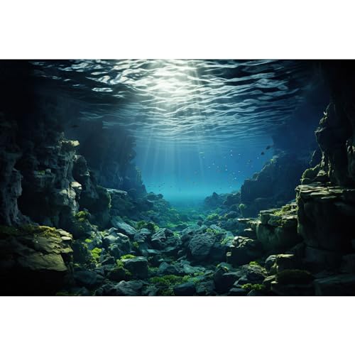 Image of Aquarium Backdrop Underwater Coral Reef with Fishes Sun Rays Terrarium Background Under Water Rocks with Moss Fish Tank Backdrop Aquarium Wallpaper Poster Decor Vinyl 48x24in