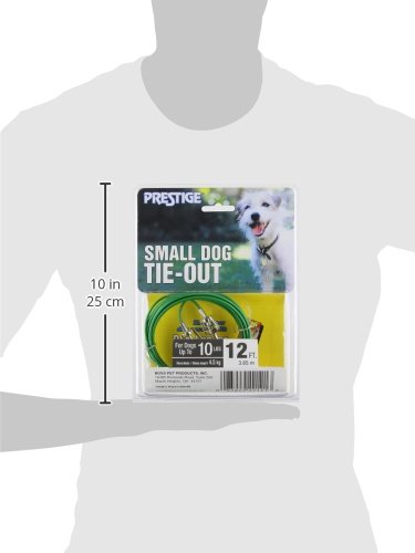 Boss Pet Prestige 12ft Tie Out for Small Dogs
