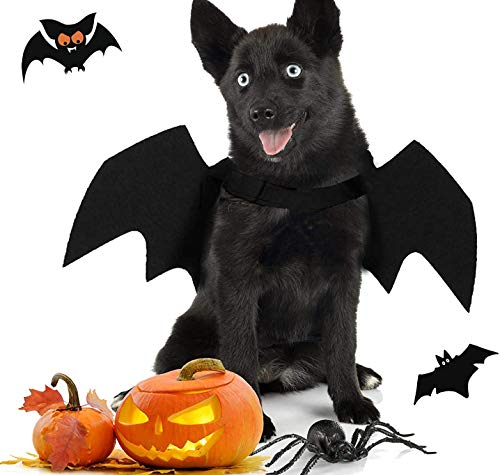 Disfraz Halloween Alas de Murciélago para Perro Grande miniatura 3