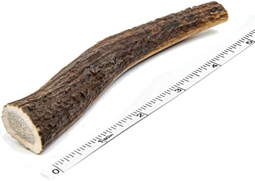 Devil Dog Pet Co Antler Dog Chew - Premium Elk Antlers for Dogs - Long Lasting Dog Bones for Aggressive Chewers - No Mess No Odor - Wild Shed in The USA - Veteran Owned (Medium)