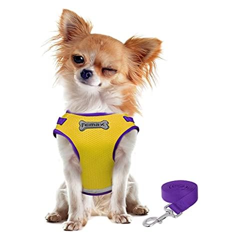 FEimaX Escape Proof Cat Harness and Leash Set, Soft Mesh Adjustable Small Dog Cat Vest Harness for Outdoor Walking, Easy Control Reflective Jacket for Kitten Puppy Rabbit Cover