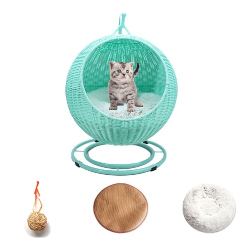 ZXINGCHIfJ[ ِLbgXCOxbh ybgXCOiX^hANbVAnMO{[tj Op y ݂艺LbgXCO nbN LAAp(Green)