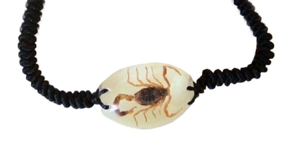 Real Brown Scorpion Bracelet (Glow in the Dark)