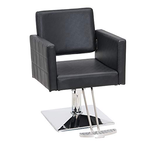 BarberPub Salon Chair for Hair Stylist, All Purpose Hydraulic Barber Styling Chair, Beauty Spa Equipment 8821