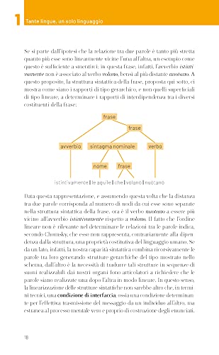 Piccolo Manuale Di Linguistica. Da Dove Vengono Le Parole E Perché Sono Importanti - 5