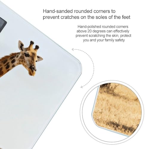 Báscula digital de baño precisa y estable BTCOWZRV miniatura 4