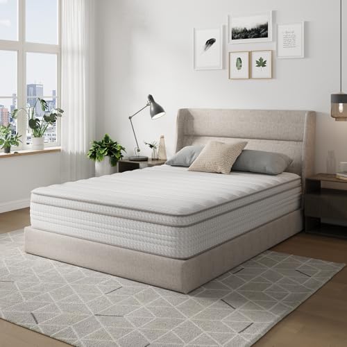 Novilla Queen Mattress, 12 Inch Queen Size Mattresses in a