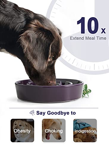 LE TAUCI Slow Feeder Dog Bowls Ceramic, 1.5 Cups Slow Feeding Dog Bowl Small Medium Breed, Puppy Slow Feeder Bow for… - Image 6