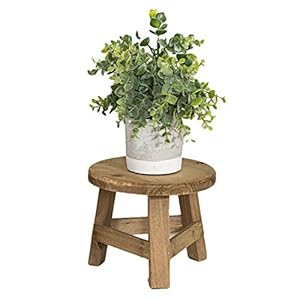 Houten Indoor Plant Stand, Hoge Kruk Plant Stand Multifunctionele Houten Bloempothouder, Het Versterking Ontwerp, 3 Steunpunten, voor Tuinieren Interieurdecoratie Woonkamer 17,8×17,8x15cm