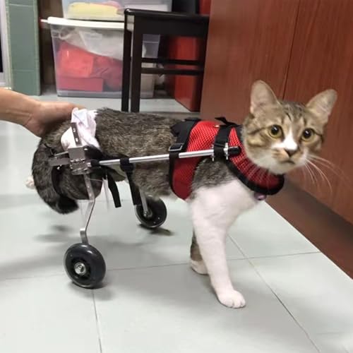 Carrito ajustable para perros grandes, silla de ruedas de 2 ruedas para paseos activos