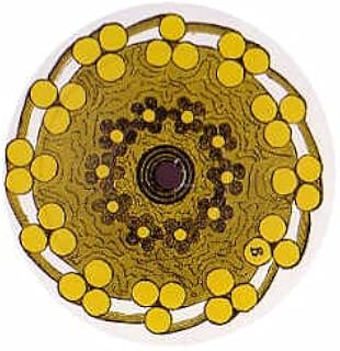 We're Good People / Problems With Exits