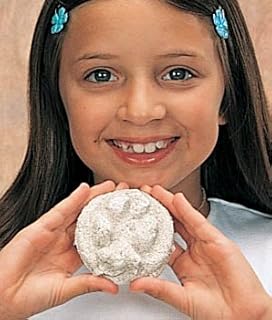 Amazing Animal Tracks Craft Kit (Makes 25 Projects)