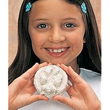 Amazing Animal Tracks Craft Kit Makes 25 Projects